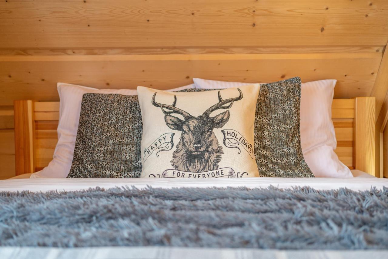 Apartamenty Willa Olsza Wood House & Mountain View & Sauna Zakopane Luaran gambar